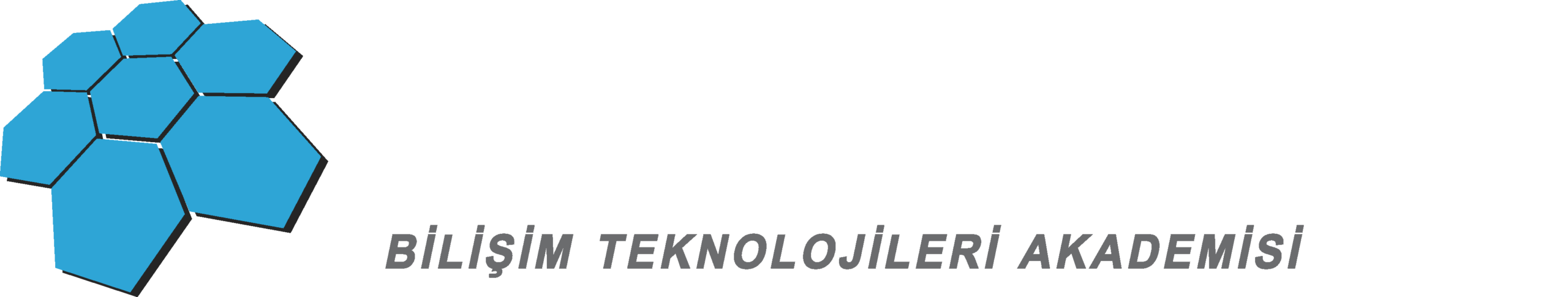 Arı Bilgi Beyaz Logo